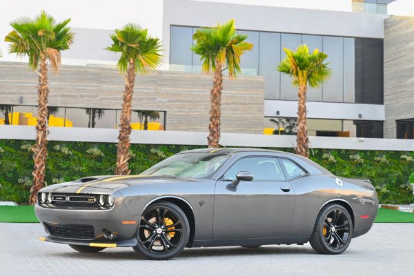 Dodge Wraps San Diego